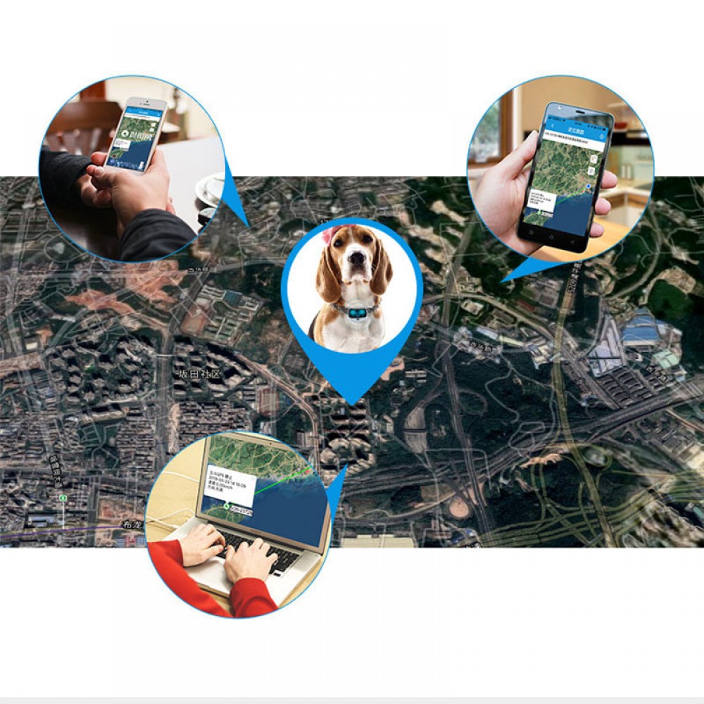 Трекер GPS для животных V43 Pet Tracker SIM (4GLTE+3GWCDMA+2GGSM) 500mAh Трекер GPS для животных V43 Pet Tracker SIM (4GLTE+3GWCDMA+2GGSM) 500mAh