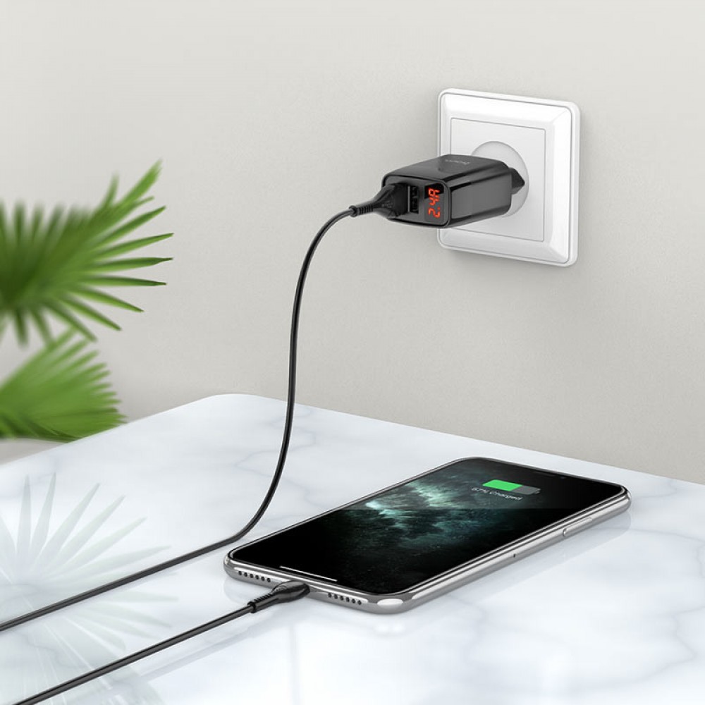 СЗУ Hoco C86A Balance 2.4A (2USB-A) + кабель USB to MicroUSB